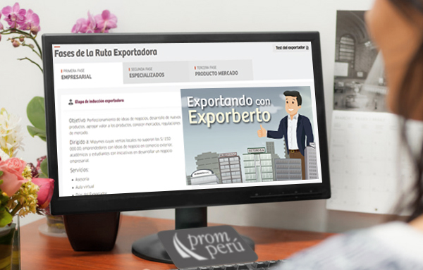 mujer-mirando-monitor-de-pc-con-logo-de-promperu